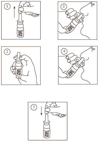 Octostim 1,5 mg_ml aerosol nasal-figura1